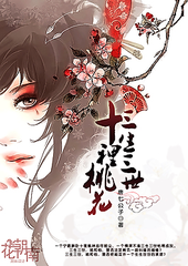 深入了解 小辣椒导航